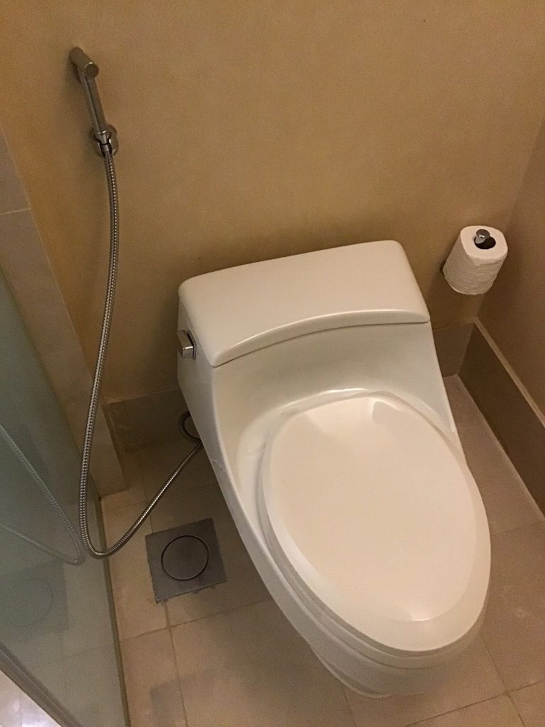 マレーシア風トイレ